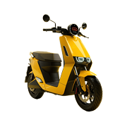 Vehicle Type